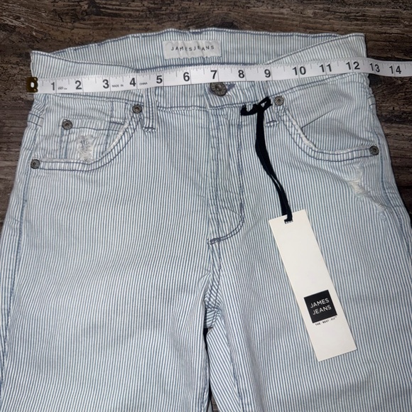 NWT James Jeans Women’s Blue White Striped Mid-Rise Ankle Jeans Size 25 - Picture 5 of 9